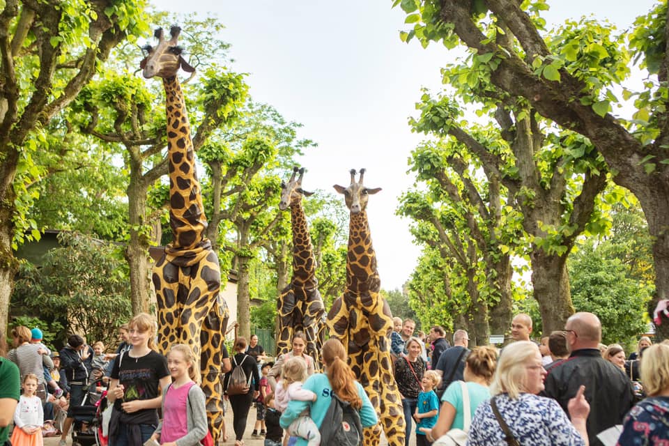 Teatro Pavana Giraffe 