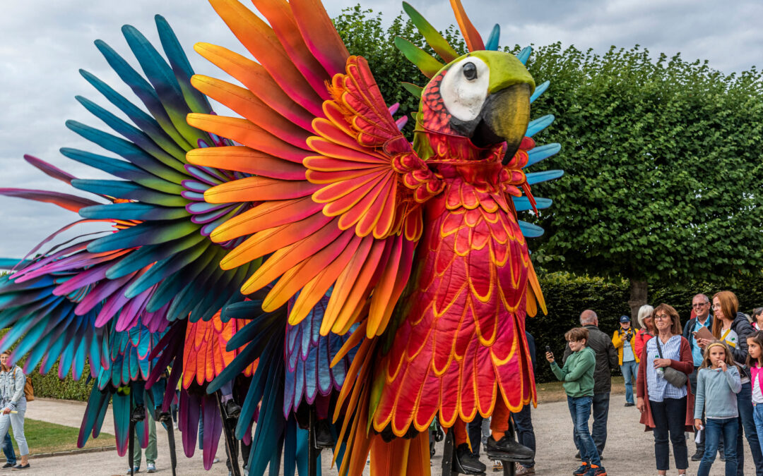 Teatro Pavana Pappagalli 